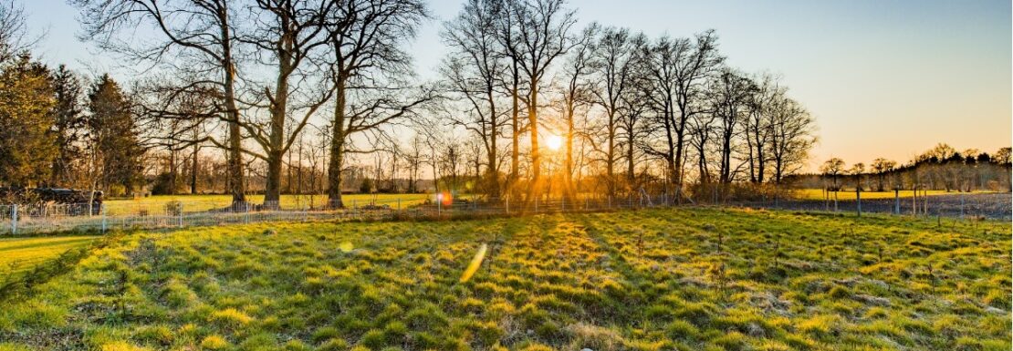 Ein schöner Grund für deine Zukunft