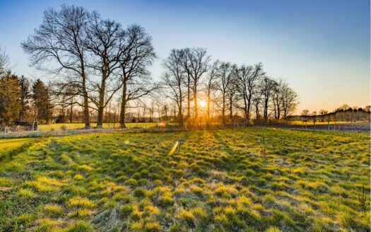 Ein schöner Grund für deine Zukunft